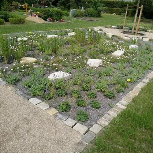 Friedhofsgärtnerei Friedhofsgärtnerei