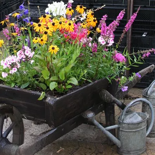 Privatverkauf Privatverkauf