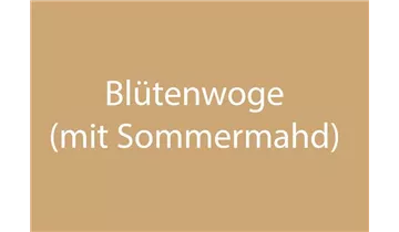 Bildvorschau