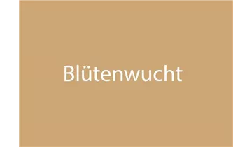 Bildvorschau