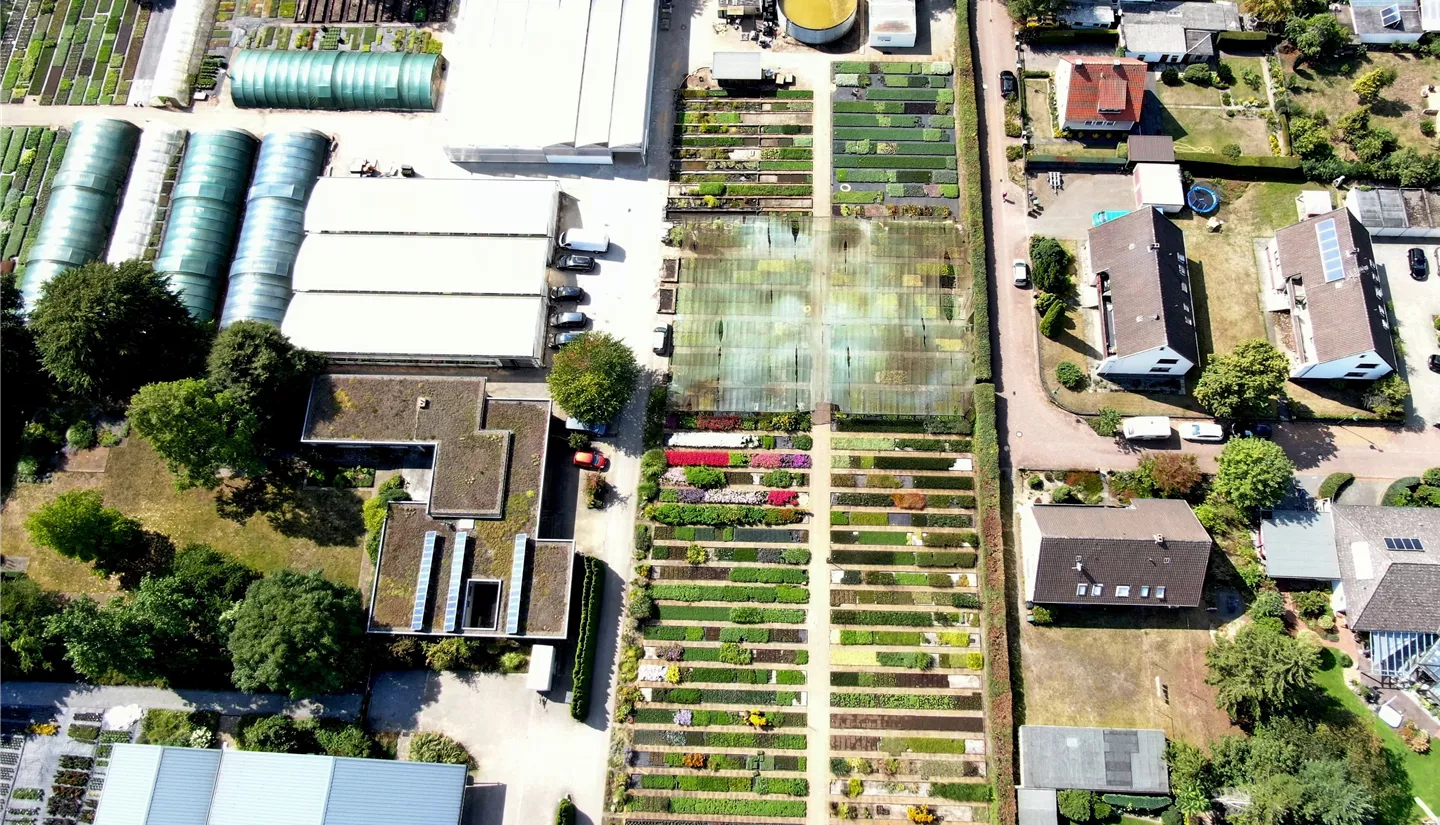 Gärtnerei6 Gärtnerei6