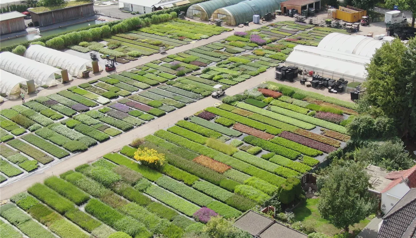 Gärtnerei3 Gärtnerei3