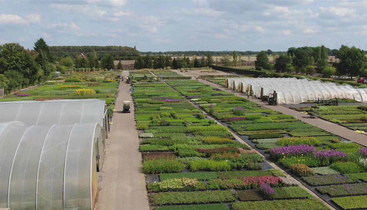 Gärtnerei4 Gärtnerei4