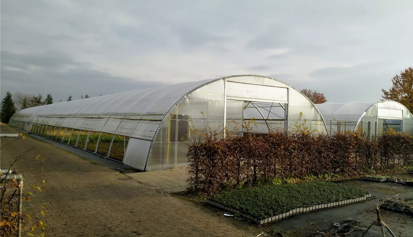 Gärtnerei5 Gärtnerei5