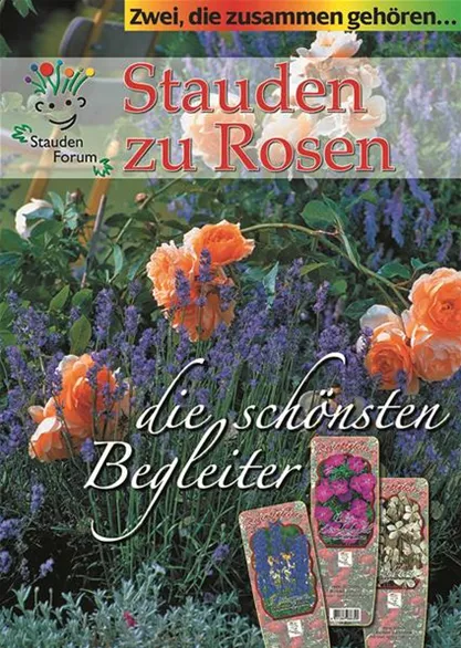 Rosenbegleiter-Plakat-kleiner.jpg